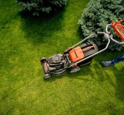 Lawn Care Cost in Canada
