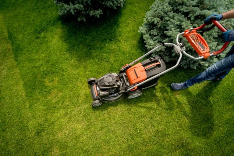 Lawn Care Cost in Canada