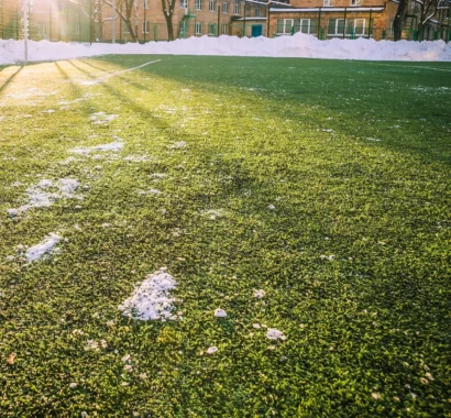 How to Repair Winter-Damaged Grass A Complete Spring Lawn Recovery Guide