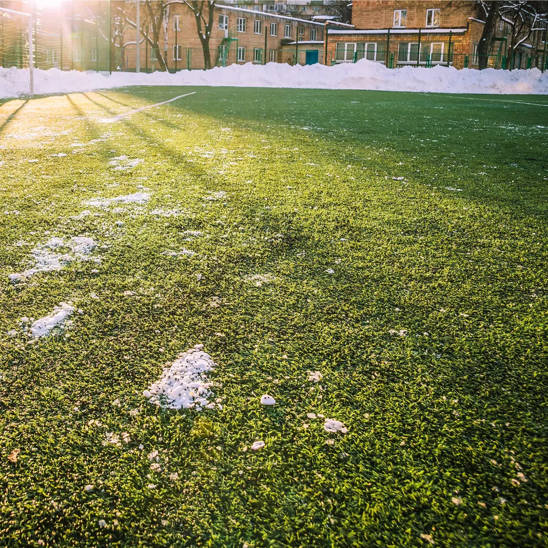 How to Repair Winter-Damaged Grass A Complete Spring Lawn Recovery Guide